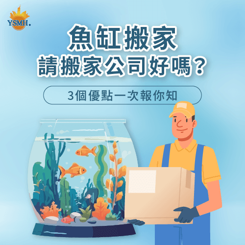 請搬家公司載運魚缸的3個好處-魚缸 搬家公司